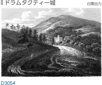 ドラムタクティー城 白黒出力 D3054