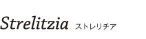 Strelitzia ストレリチア