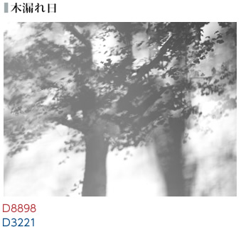 木漏れ日