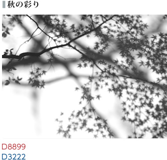秋の彩り