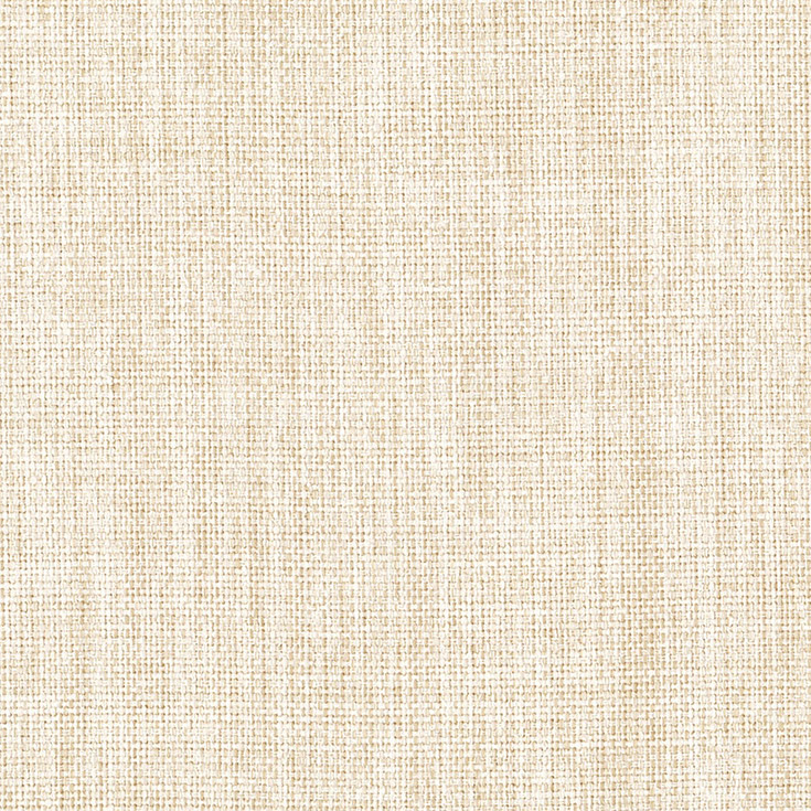 チップ画像