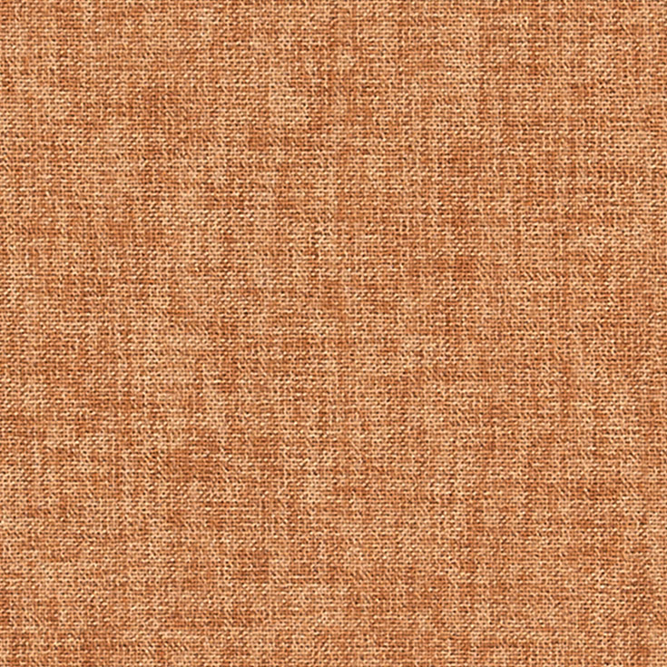 チップ画像