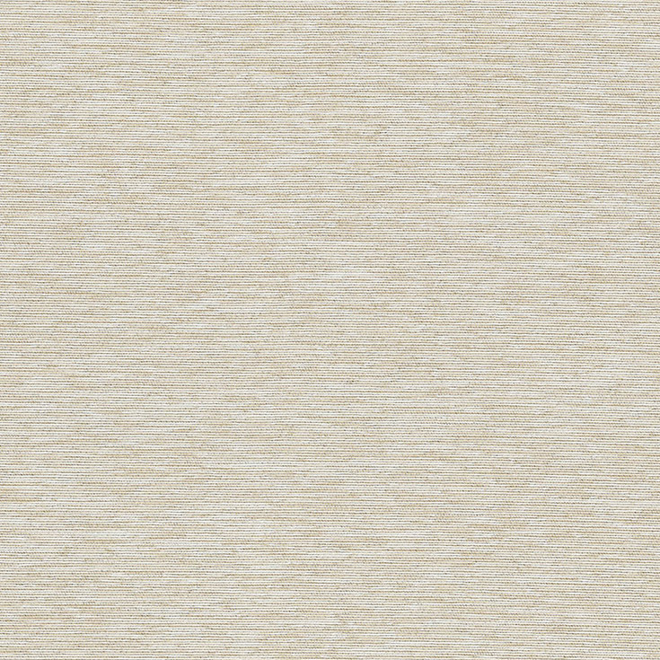 チップ画像
