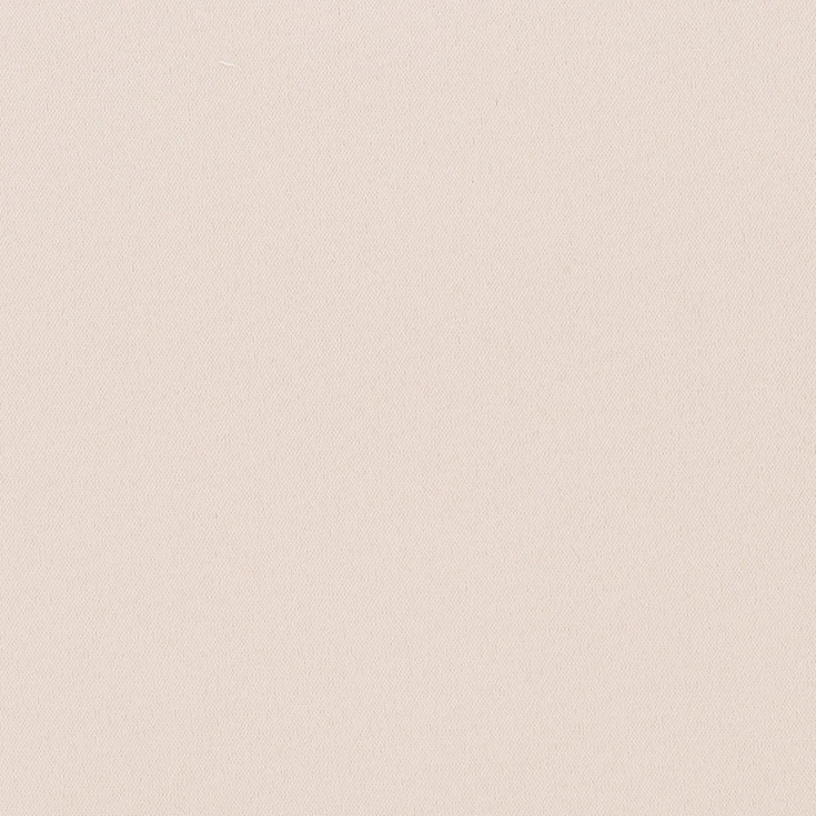 チップ画像