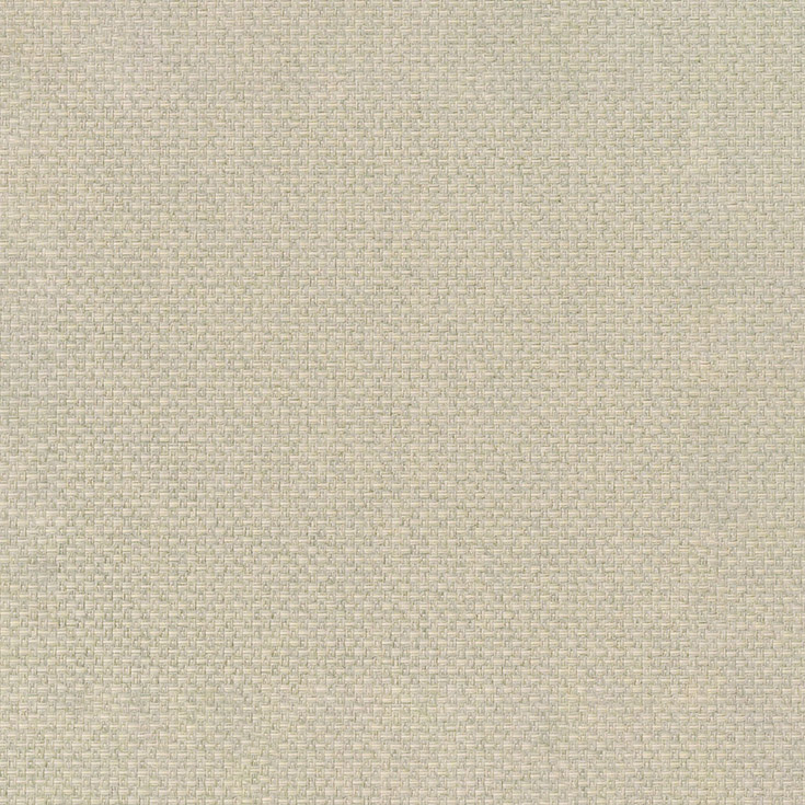 チップ画像