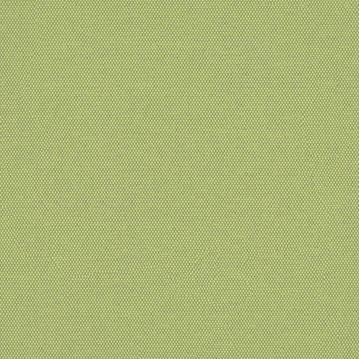 チップ画像