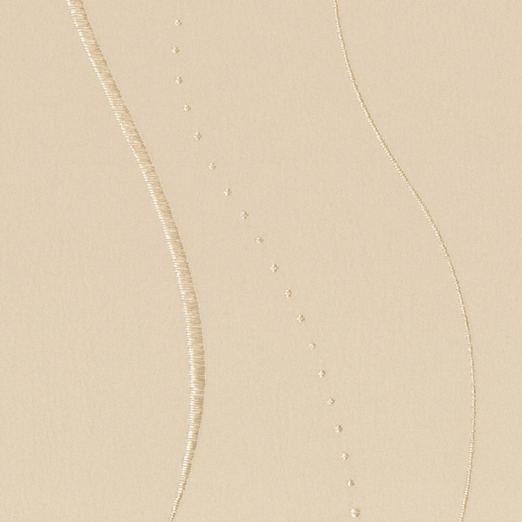 チップ画像
