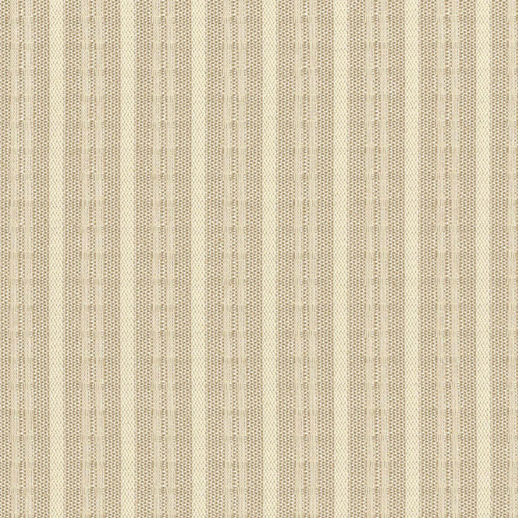 チップ画像