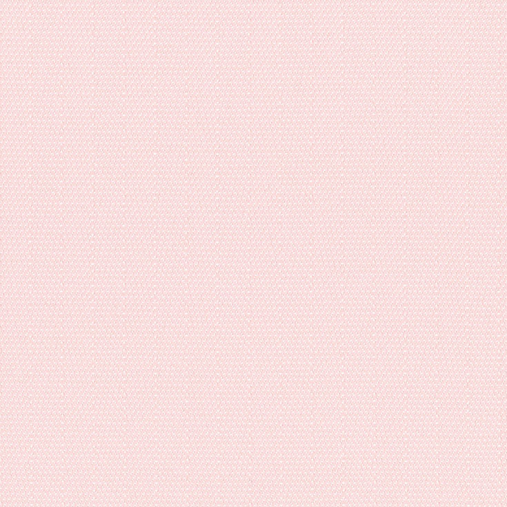 チップ画像