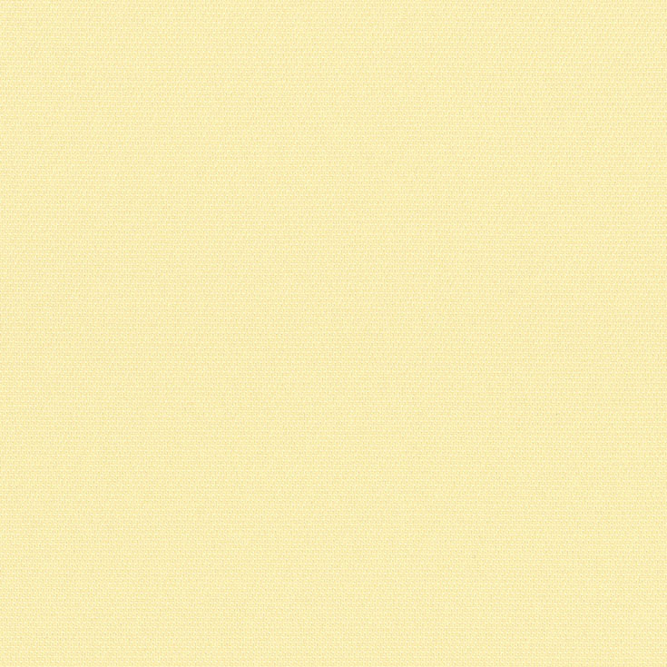 チップ画像