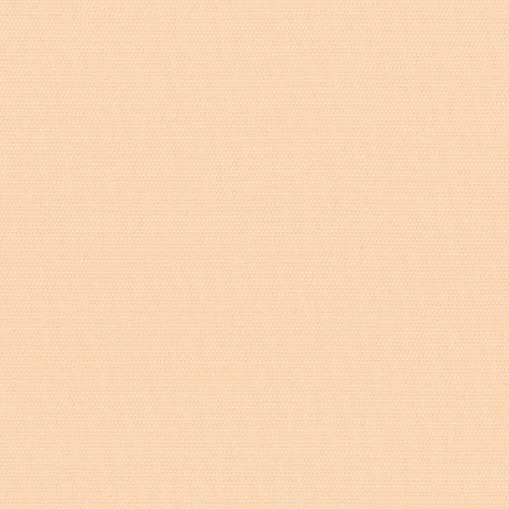 チップ画像