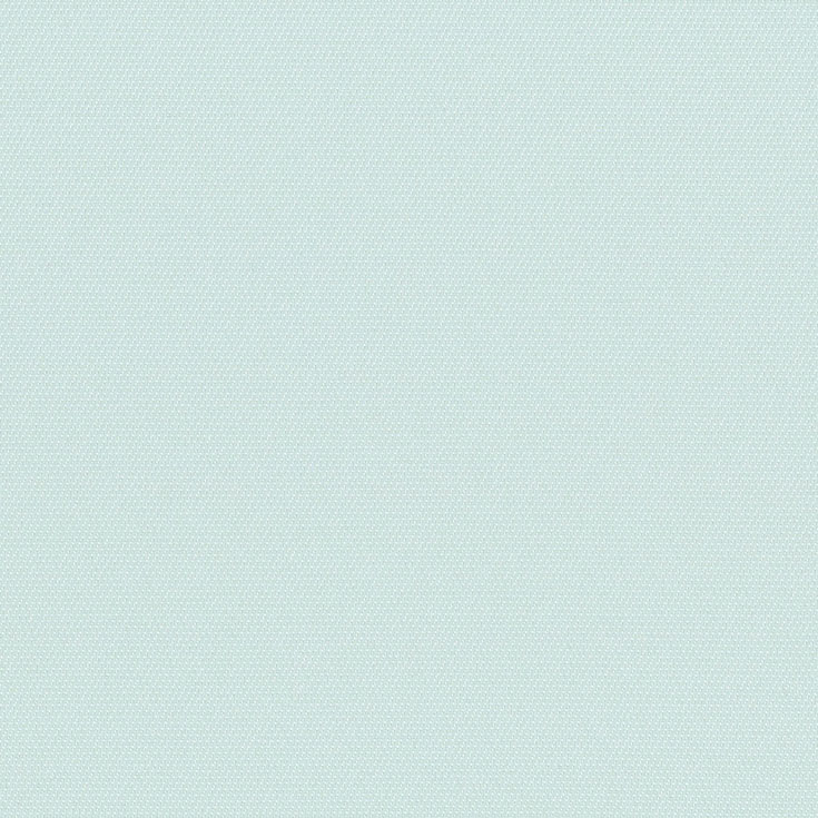 チップ画像