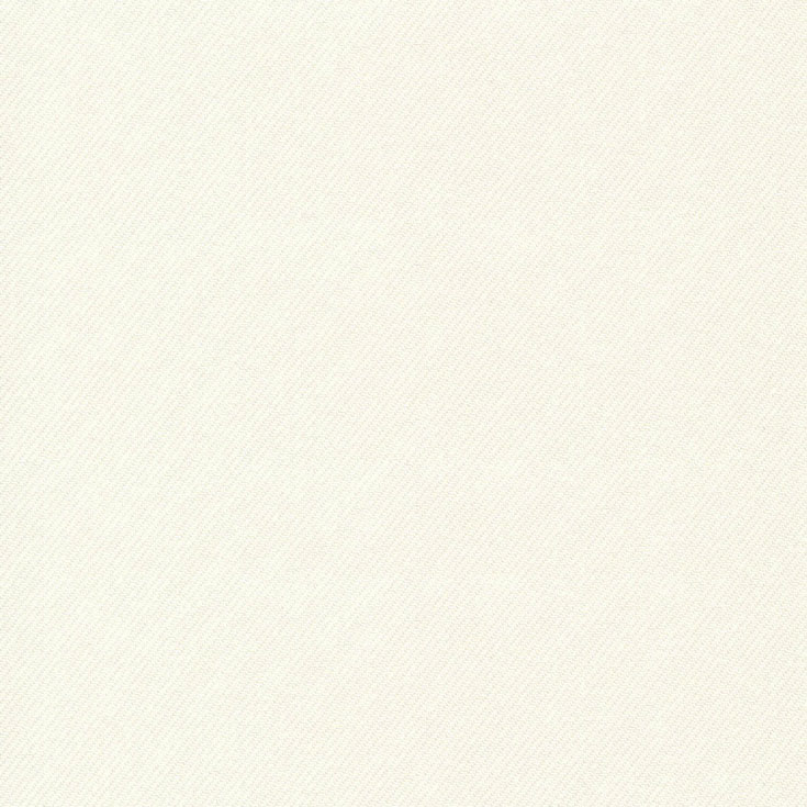 チップ画像