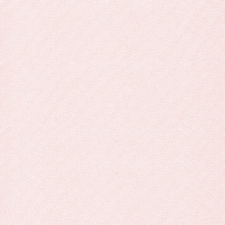 チップ画像