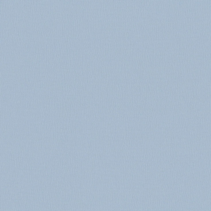 チップ画像