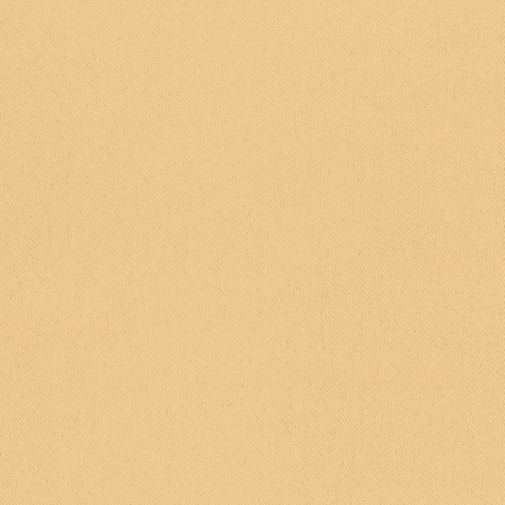 チップ画像