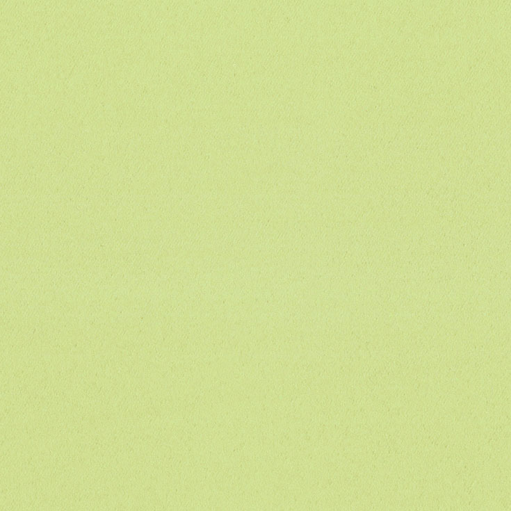 チップ画像