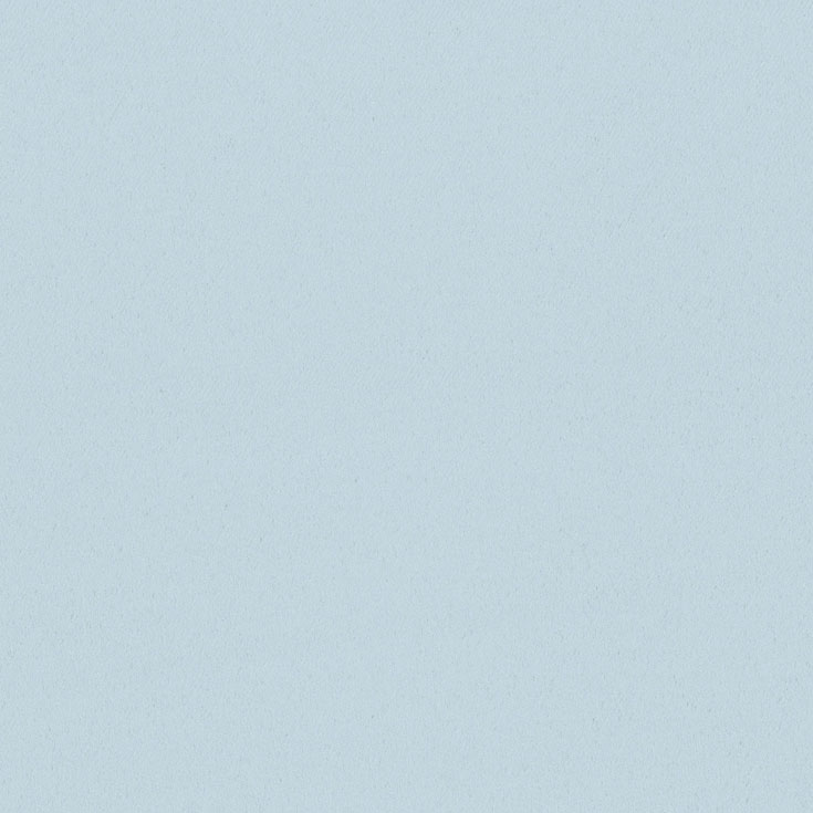 チップ画像