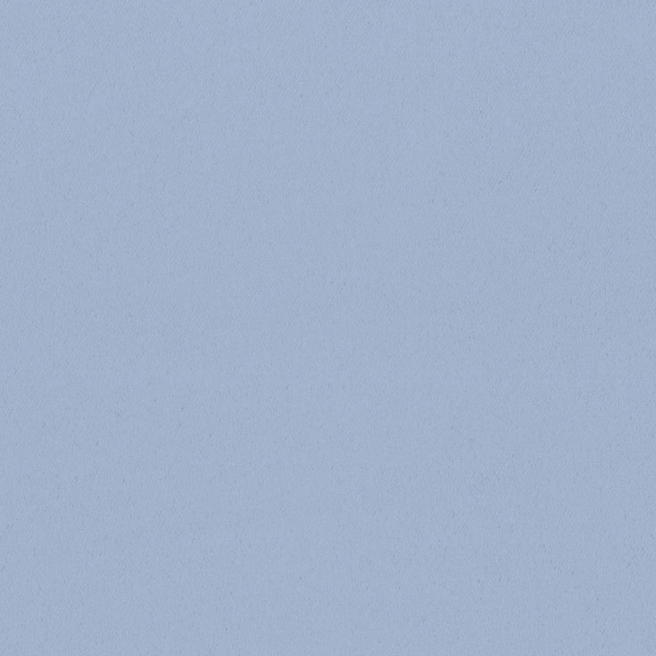 チップ画像