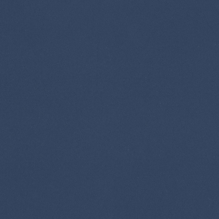 チップ画像