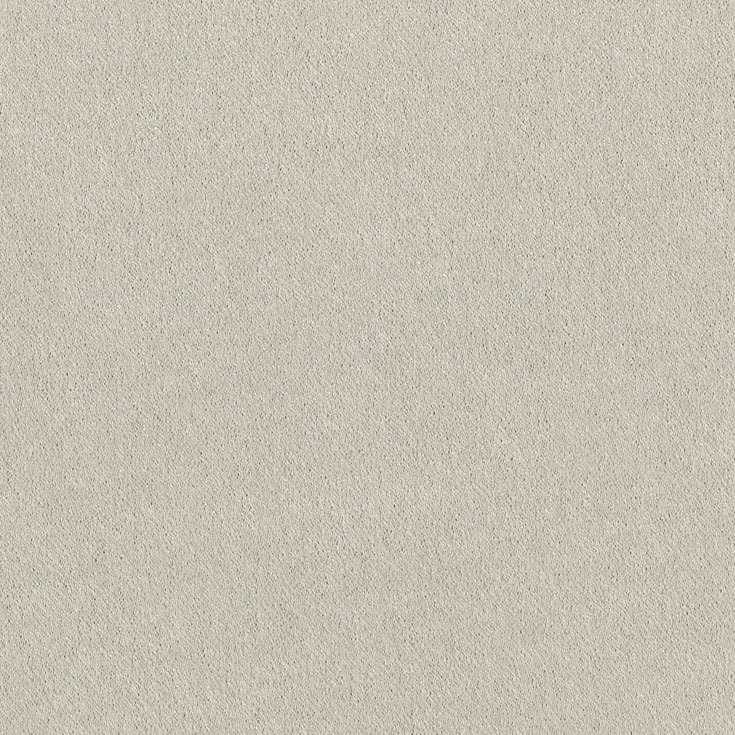 チップ画像