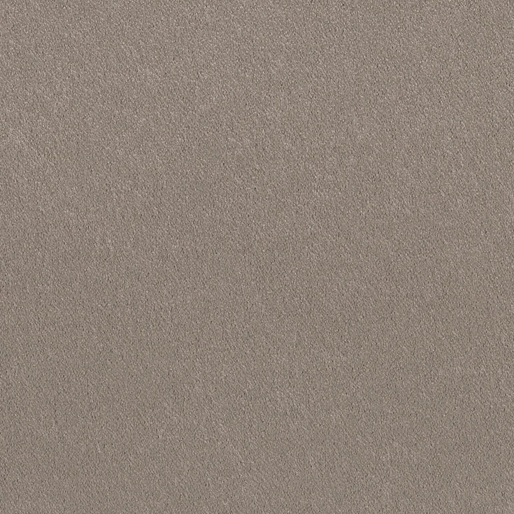チップ画像
