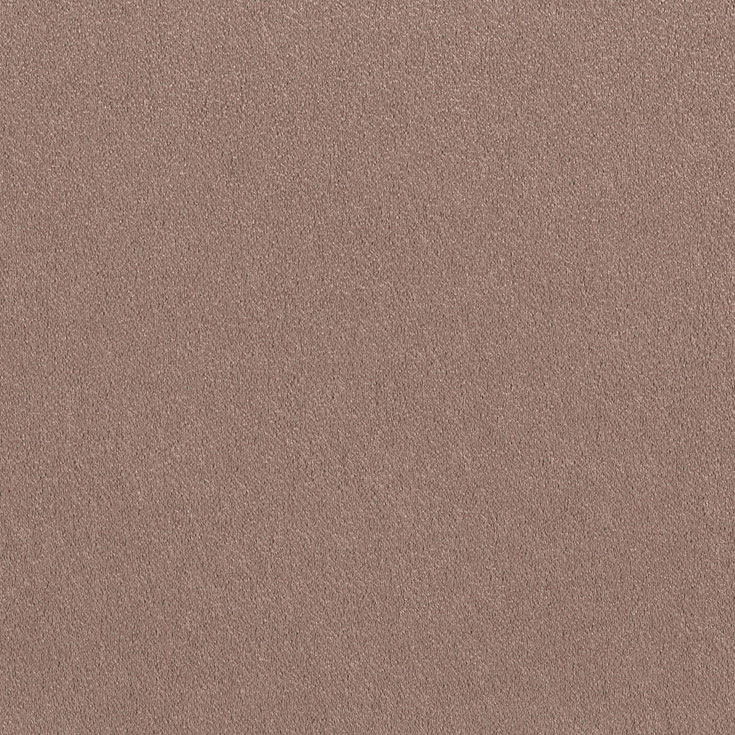 チップ画像