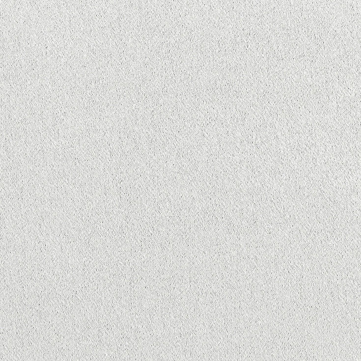 チップ画像