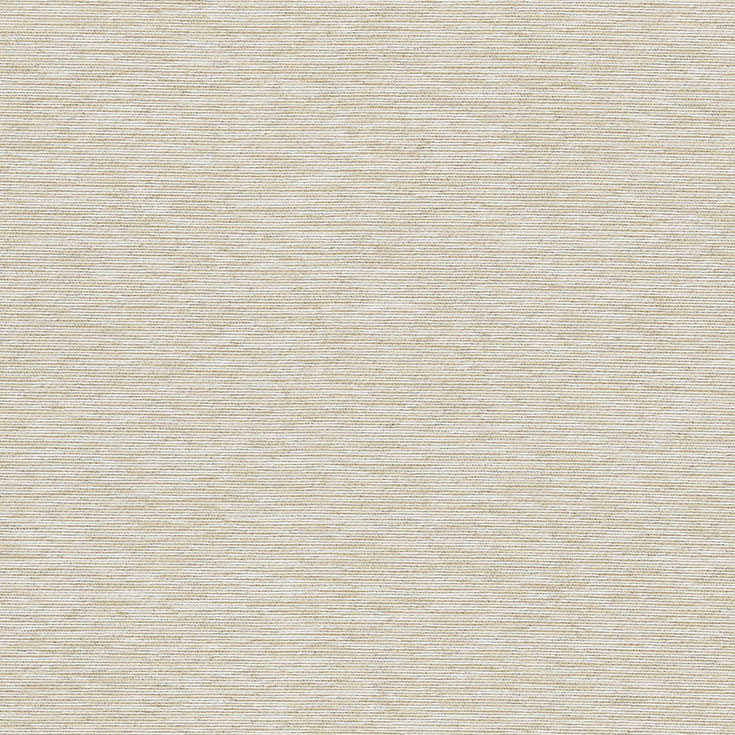 チップ画像
