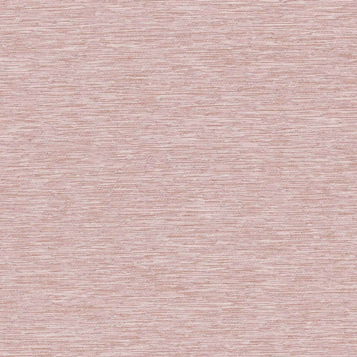 チップ画像