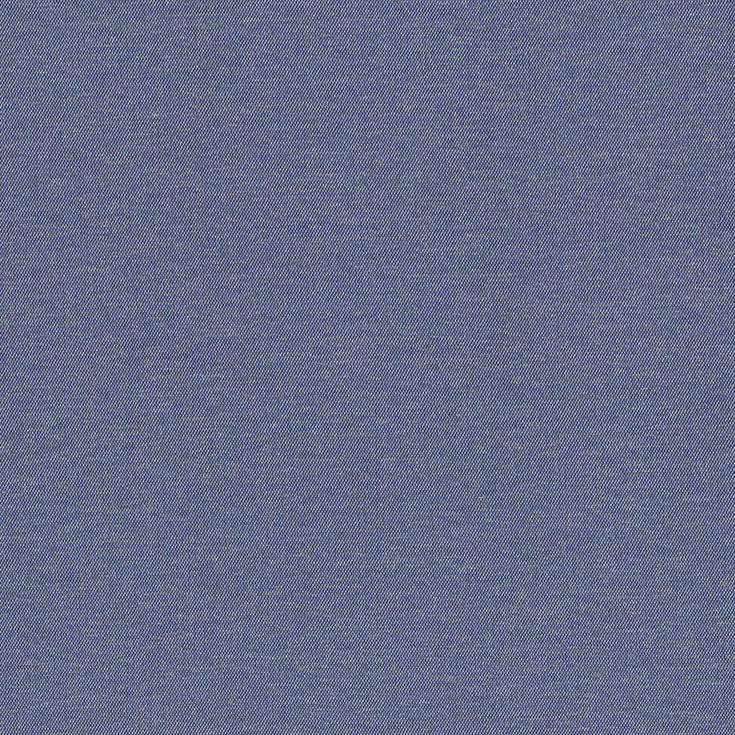 チップ画像