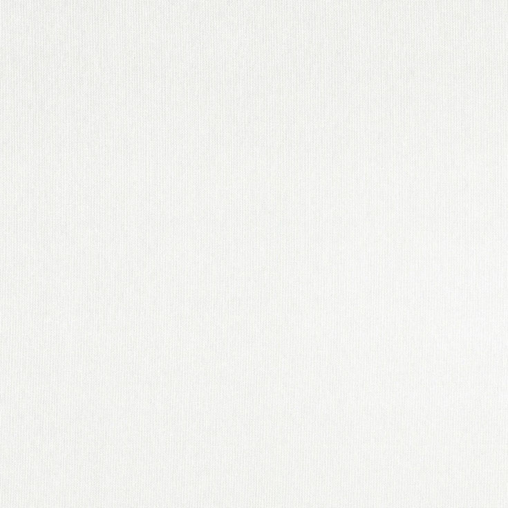 チップ画像
