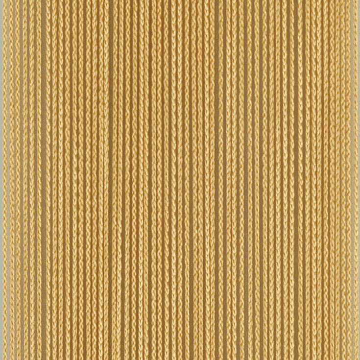 チップ画像