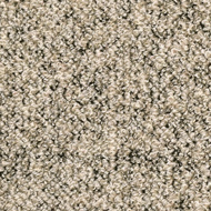 AA239525の生地画像