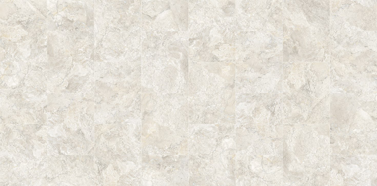 専用 リピ、特割 リネアリフォリア (け) 太株 専用 リピ、特割 リネアリフォリア (け) 太株