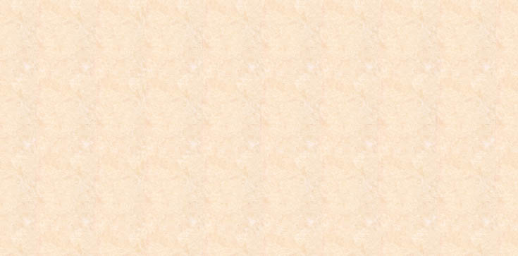 LH 81534 クッションフロア 2025-2028 ｜商品詳細｜商品検索