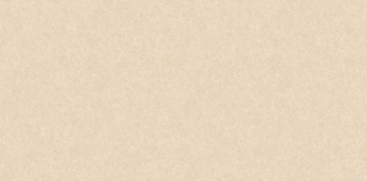 なら LHP 81617 クッションフロア 2025-2028｜商品詳細｜商品検索