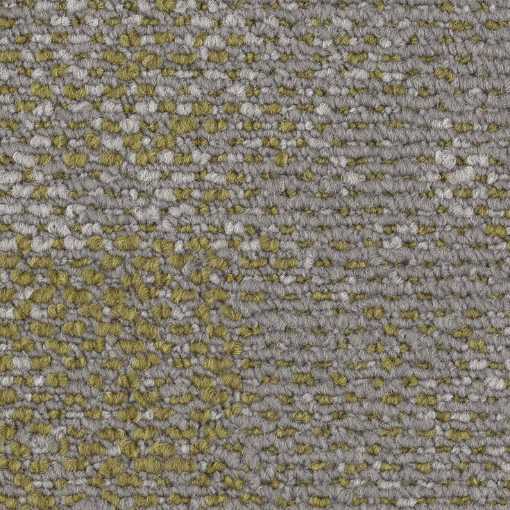 チップ画像