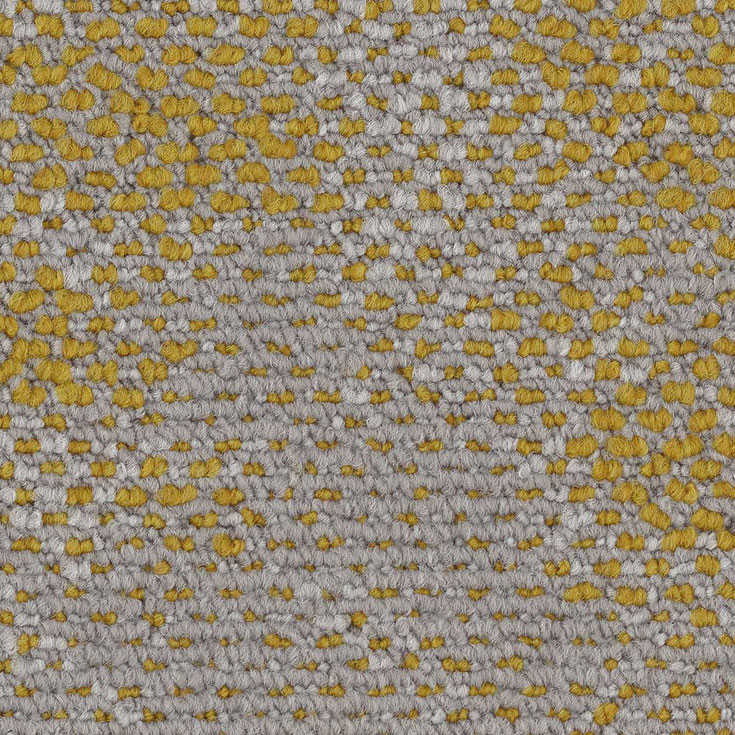 チップ画像