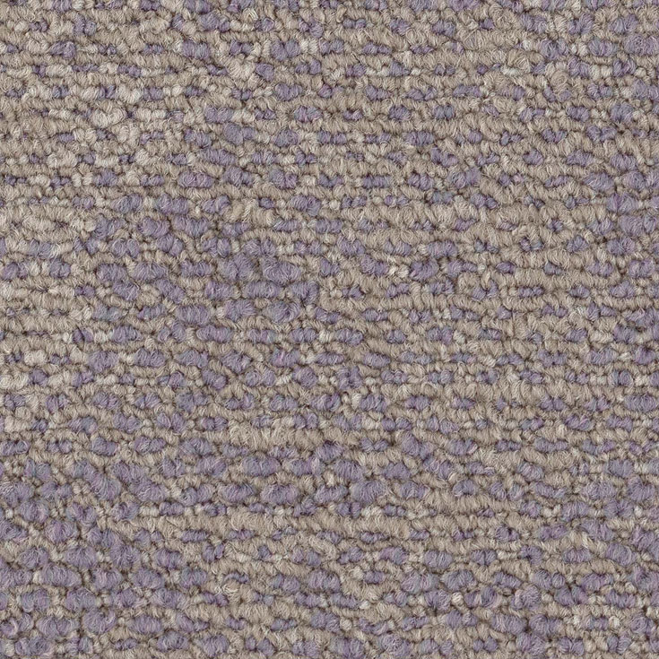 チップ画像