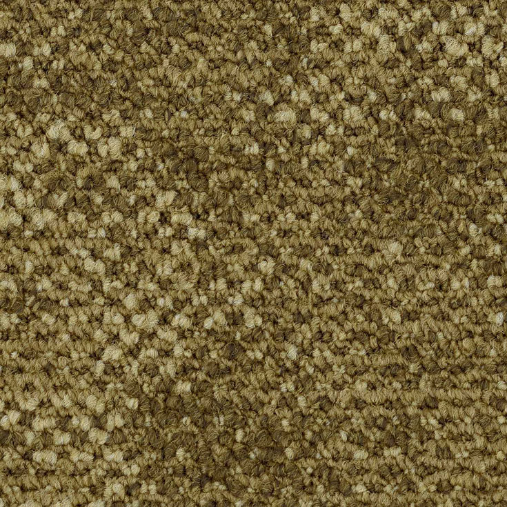 チップ画像