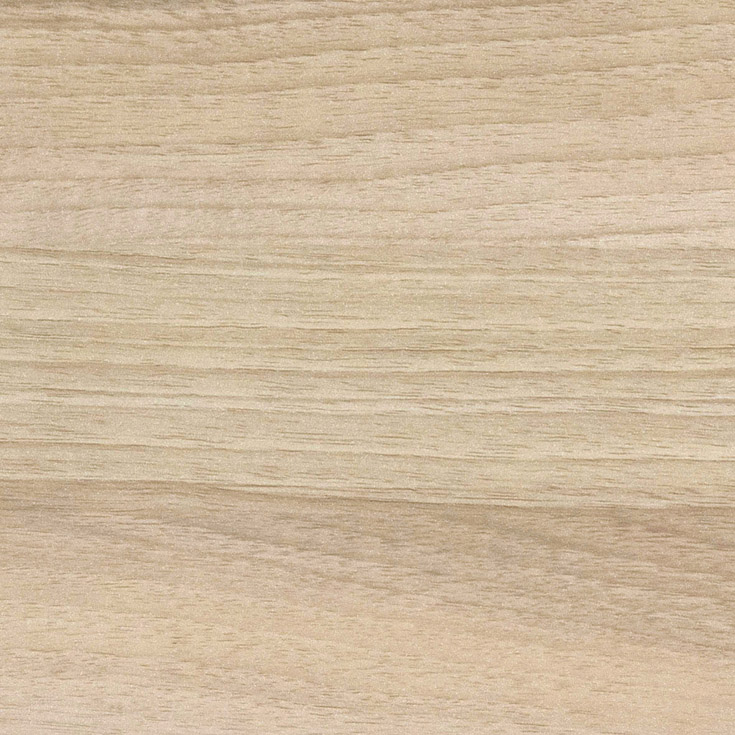 チップ画像