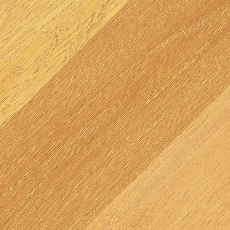 チップ画像