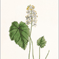 D8255