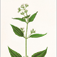 D8256
