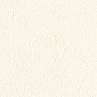 日本の壁 PHOTOWALL / Mt Fuji and Tokyo Skyline (e327846) | 輸入壁紙