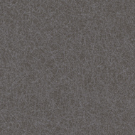 LW-813