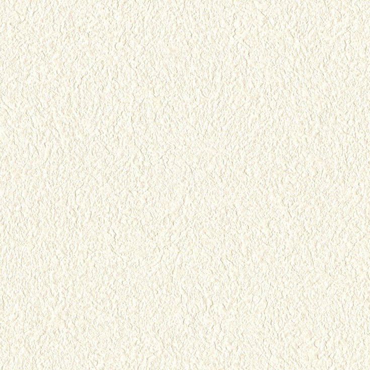 チップ画像