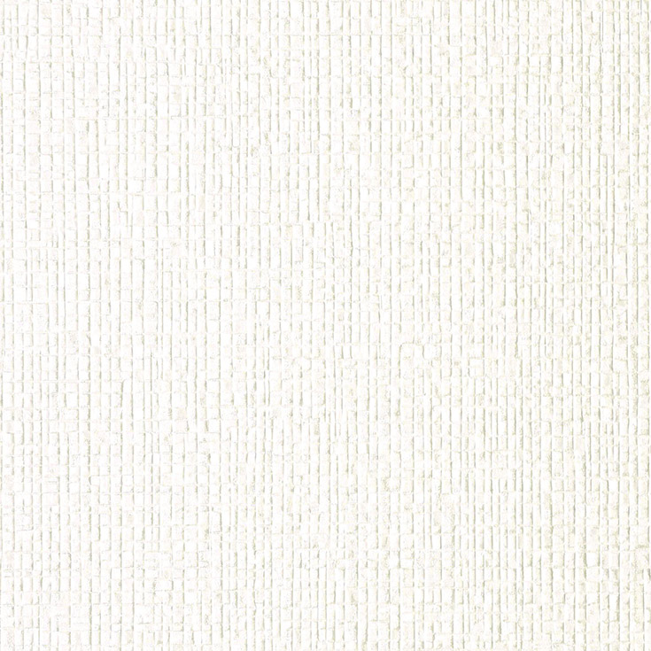チップ画像