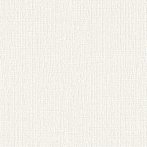 OZNIS | オズニス / FLAT02 -TRUEVIEW® – TALEX online store